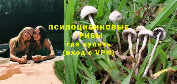 мескалин Михайлов