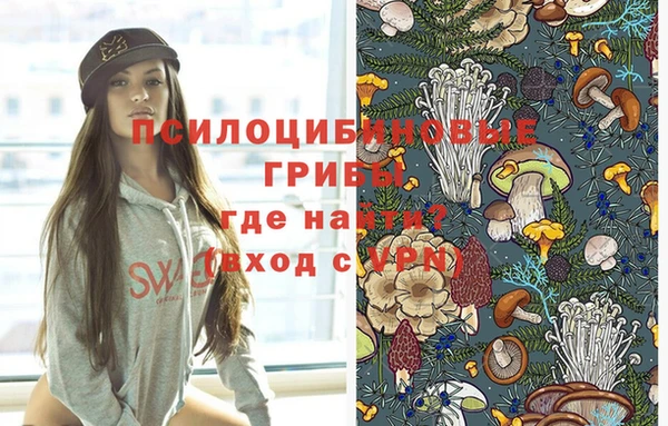 мескалин Михайлов