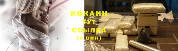 мескалин Михайлов