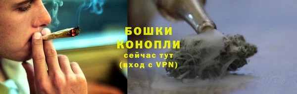 эйфоретик Михайловск